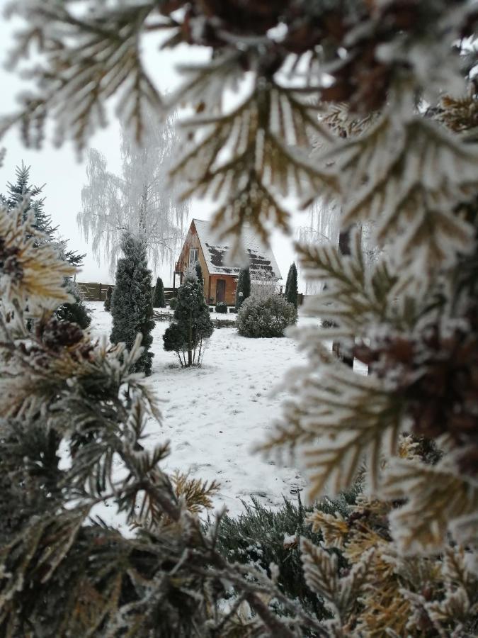 Usadba Kupalinka Hotel Ostrovo Exterior photo